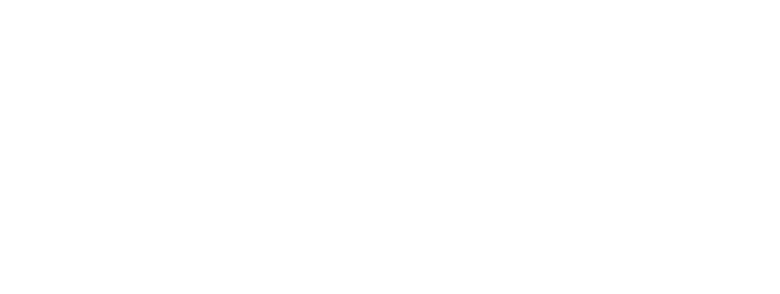 s**t kingz